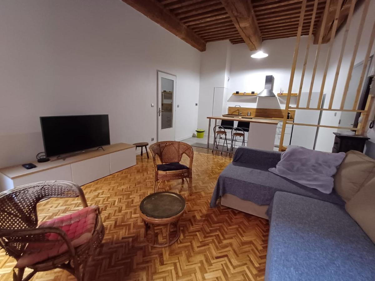 Appartamento Old Town - Vieux Lyon -50 M2 Flat Esterno foto